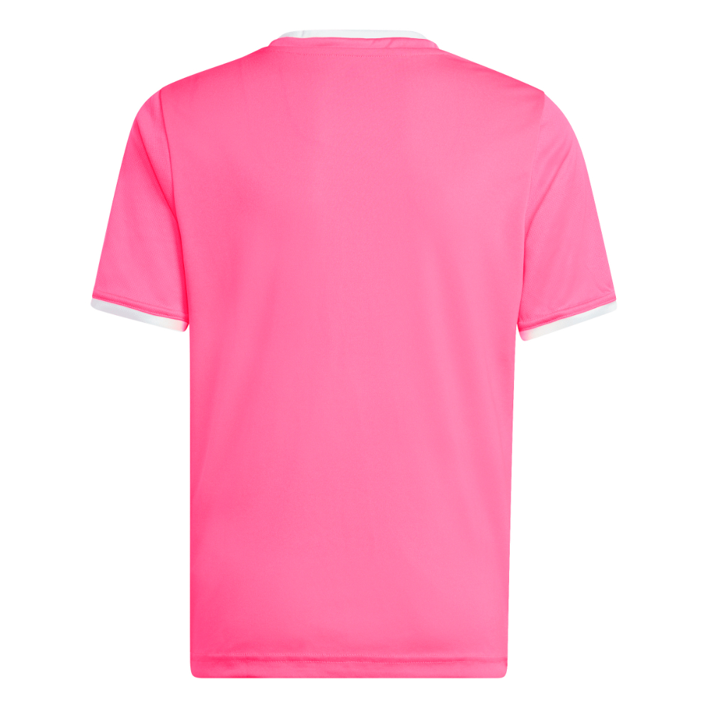 Adidas Entrada 26 Trikot Kids Pink