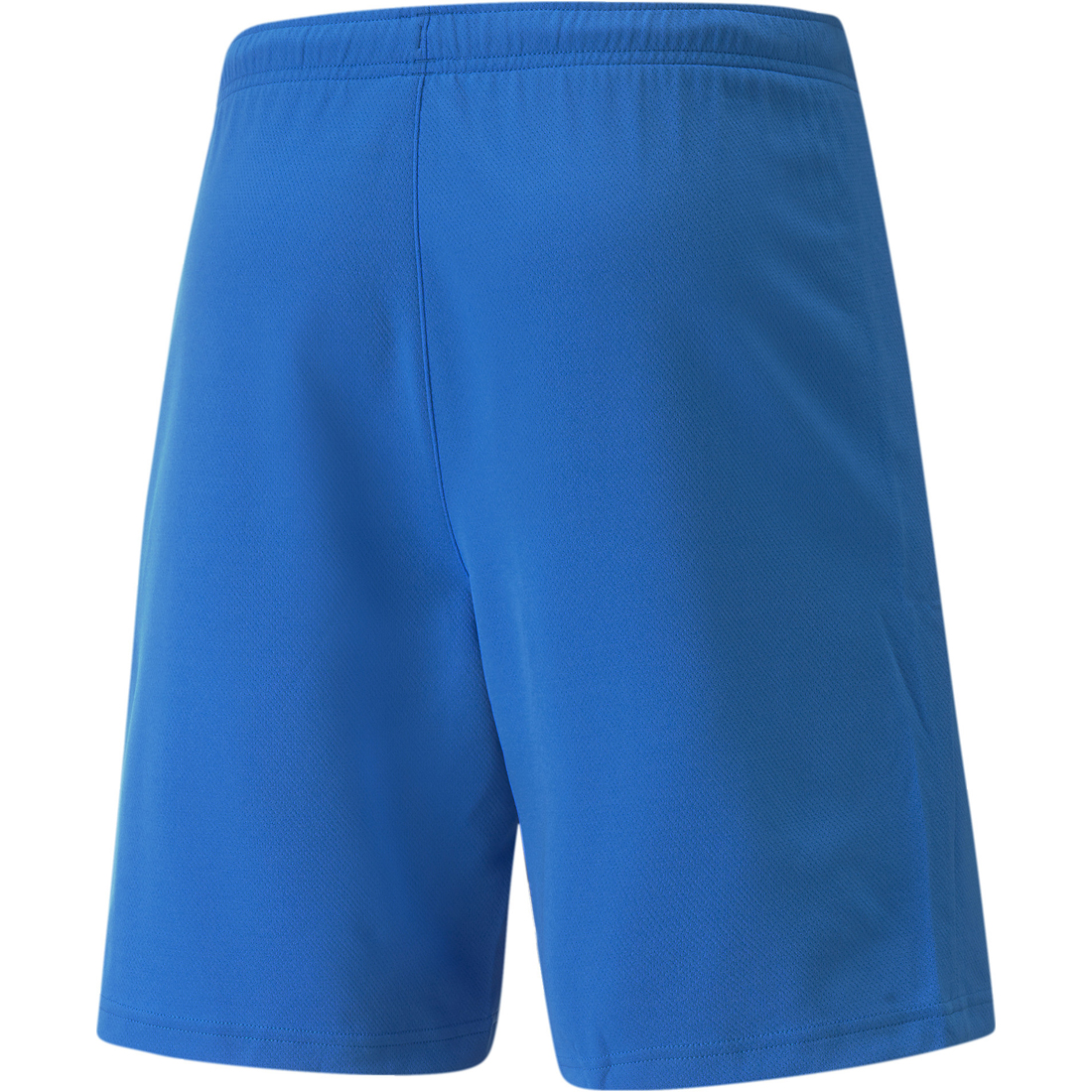 Puma Shorts teamRISE blau-weiß