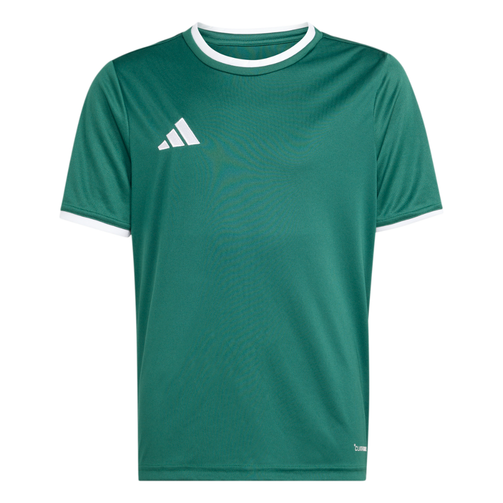 Adidas Entrada 26 Trikot Kids Dunkelgrün