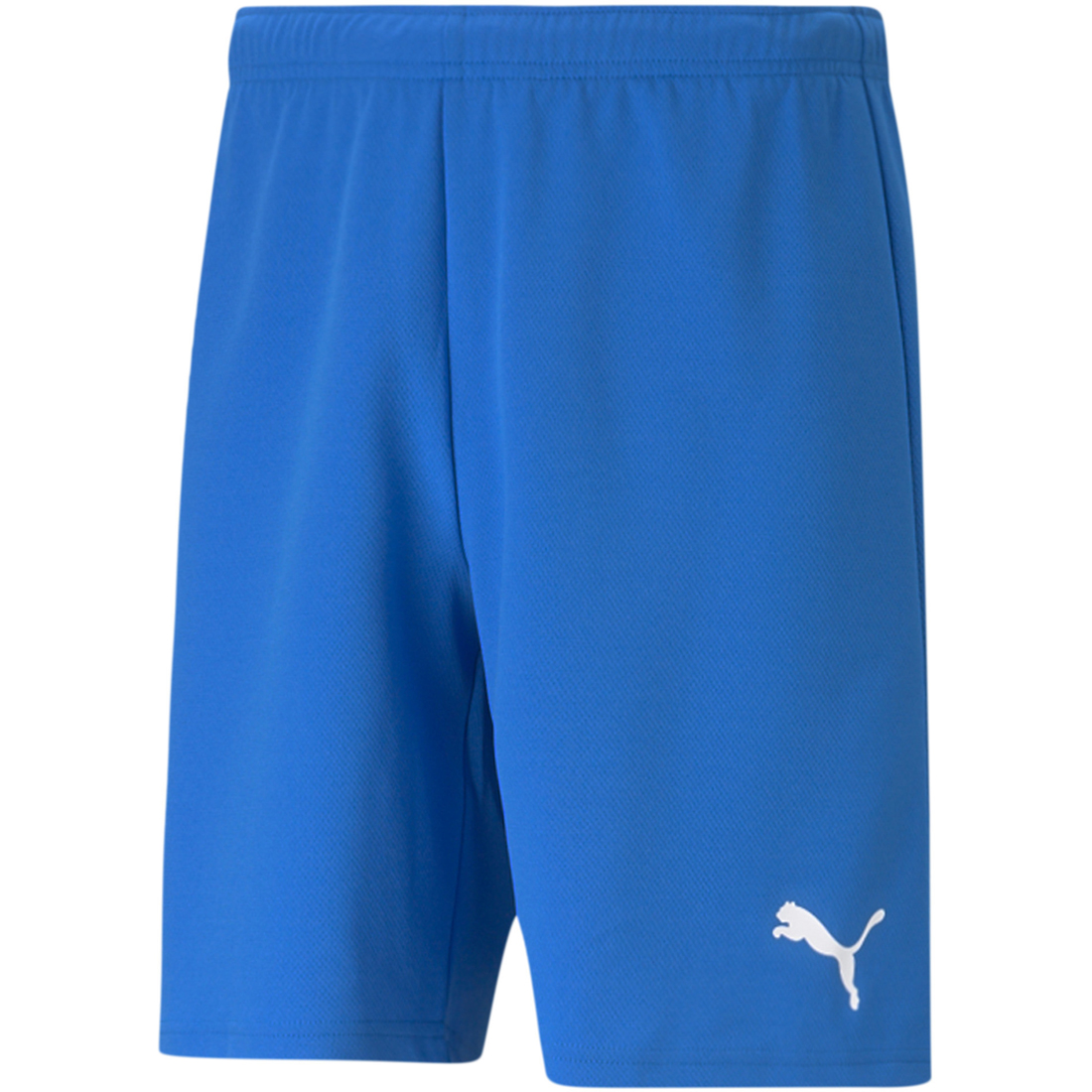 Puma Shorts teamRISE blau-weiß
