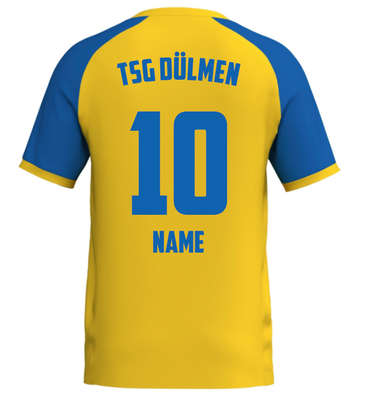 TSG Dülmen Trikot Wings
