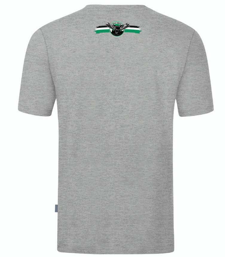 Wild Eagles Borken Spezial T-Shirt Organic grau